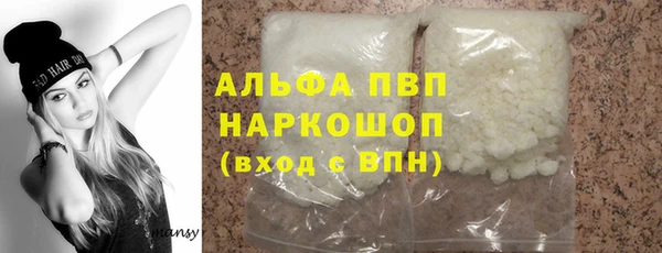 прущие грибы Тайга