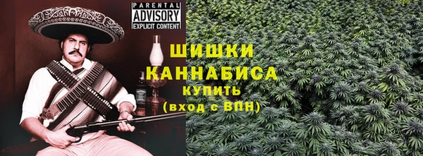 прущие грибы Тайга