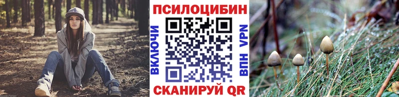 Псилоцибиновые грибы прущие грибы Кемерово